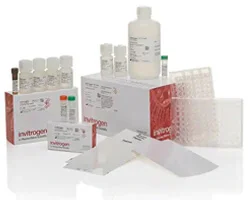 multiplex-elisa image